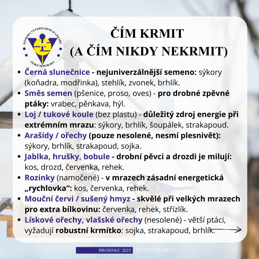 2025-12-08-04. co dávat ptákům v zimě do krmítka.png